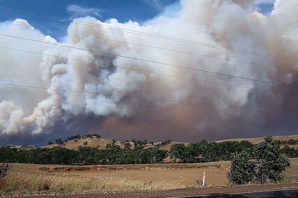 Thick smoke blankets Yea on Friday.