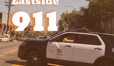 LAPD investigates death at MacArthur Park lake | City News