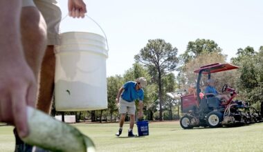 SC college is behind the best golf courses, MLB turfs in US