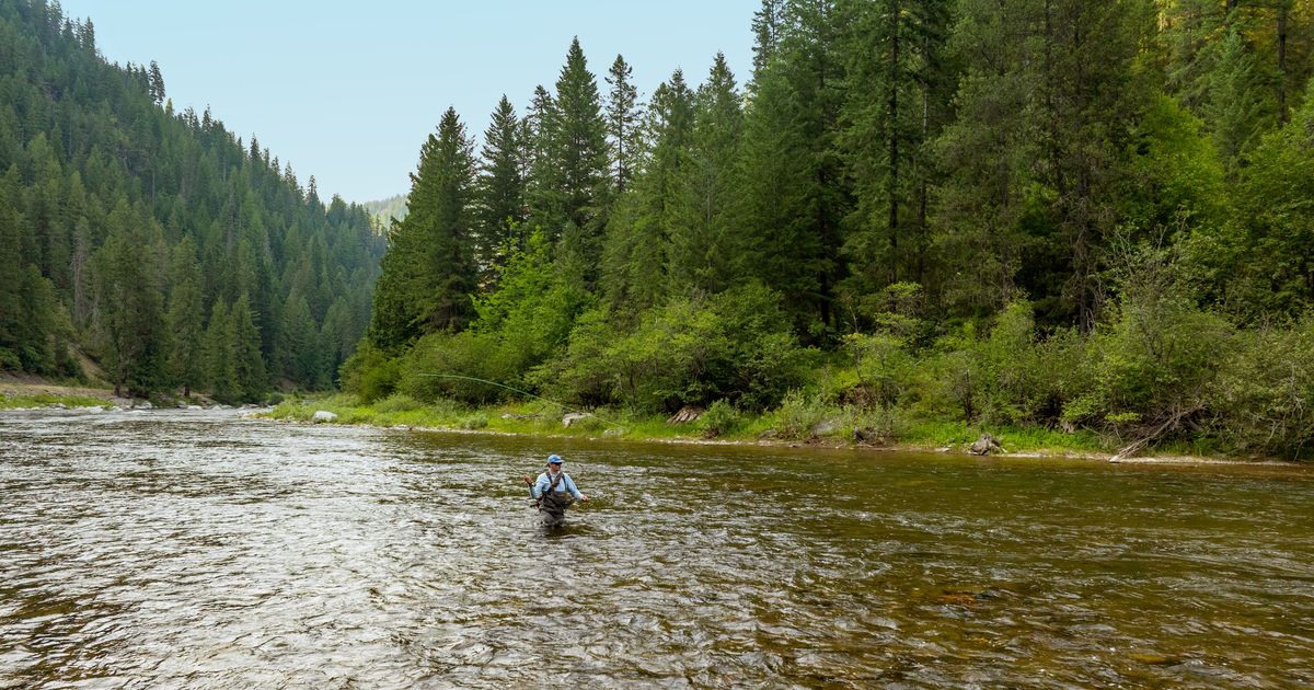 Conservancy buys land along St. Joe River