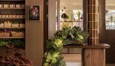 NYC EREWHON GROCERY STORE DUPES : Erewhon's NYC twins!