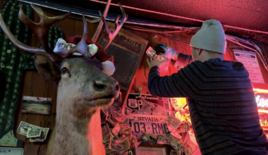 Funding Hope: Scottsdale bar’s tradition helps Phoenix Children’s | Food And Drinks