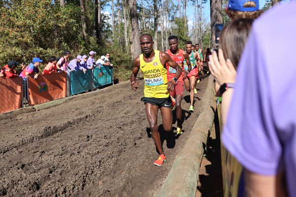 History repeats as Kiplimo wins senior men's gold from Aregawi in Tallahassee | News | Tallahassee 26