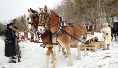 ‘Extraordinary feats’: 250 years later, Knox journey handoff reenacted at the Massachusetts–New York border | South Berkshires