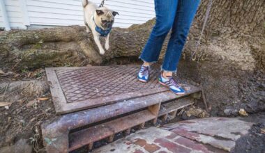 S&WB catch basin funding fell apart last year. What will happen in 2026? | News