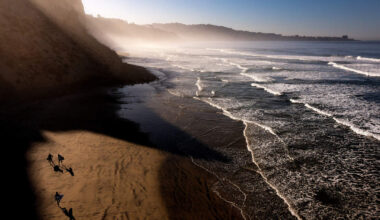 9 Migrants Detained Off Black's Beach | STAR 94.1