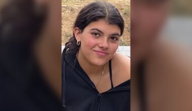 Canadian who died on Australian beach, circled by dingoes, identified - CTV News