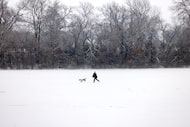 A person plays with their dog at the Oak Point Park and Nature Preserve in Plano on Jan. 10,...