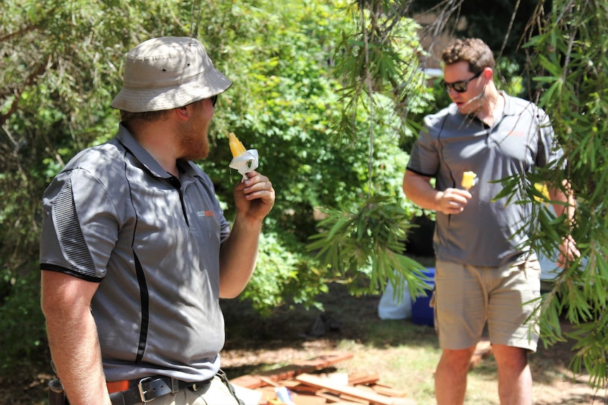 Two tradesman cool off by eating an icy pole while standing on decking worksite outside