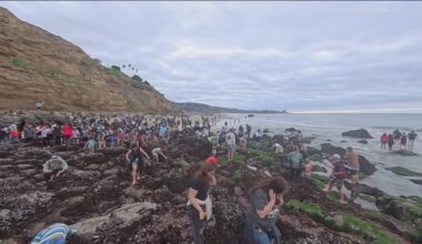 Crowds at San Diego tide pools ignore rules, disturb marine life during King Tides