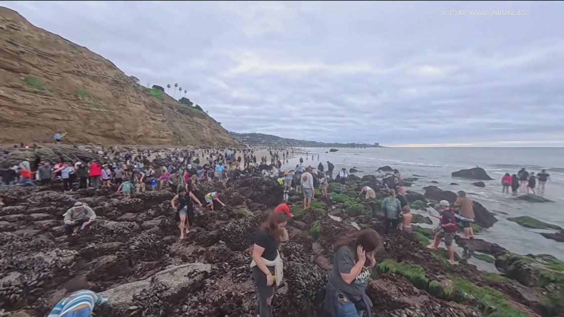 Crowds at San Diego tide pools ignore rules, disturb marine life during King Tides