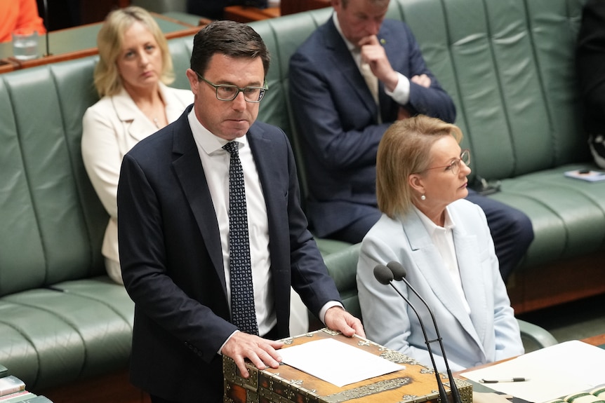 A man in a suit stands and speaks in parliament.