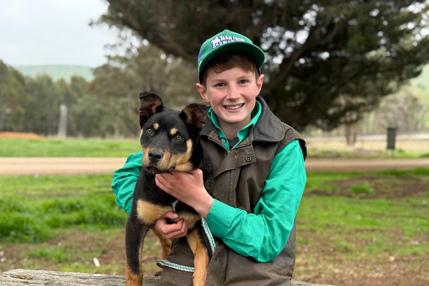 A young boy holds his Kelpie puppy under his arm, smiling.
