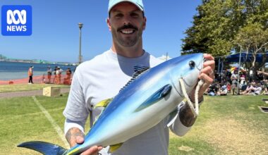 Tunarama's return lures big fish back to seafood capital