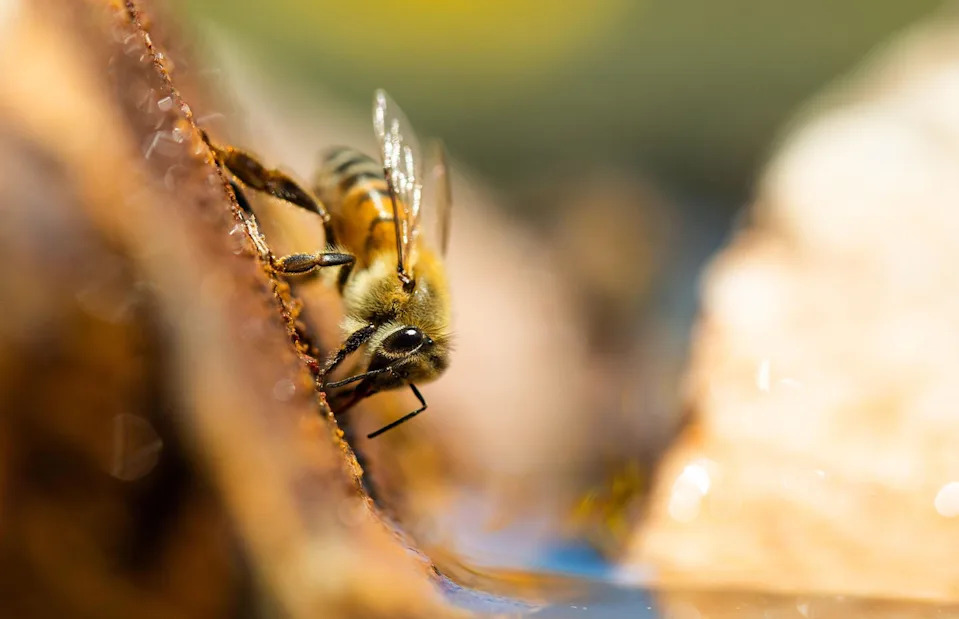 <p>Wirestock, Inc./Alamy Stock Photo</p>