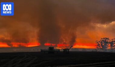 Farmers hurt by Victorian fires to receive $50m state and federal support package