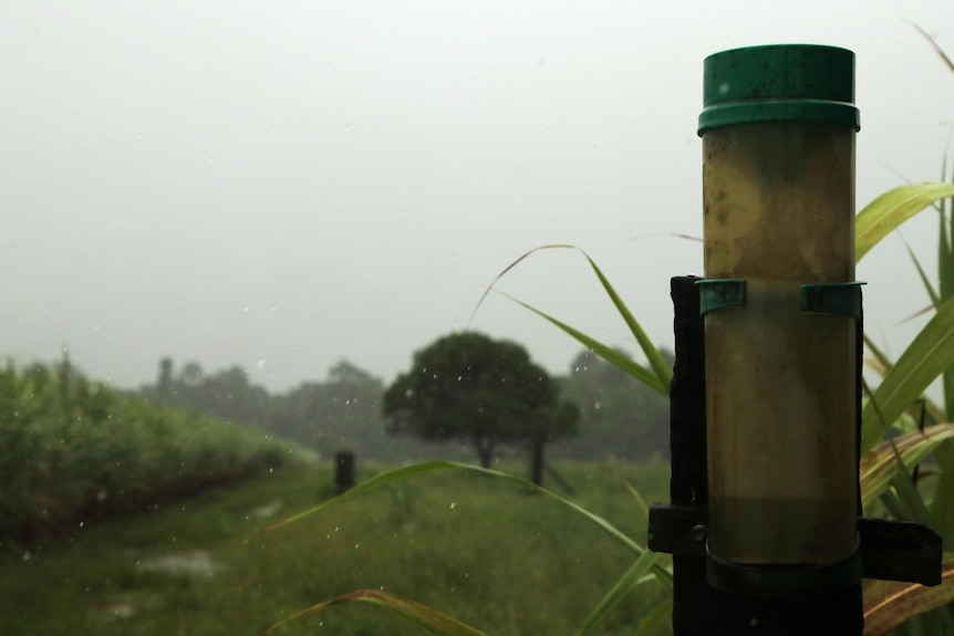 A partial shot of a fence with a green field in the background.