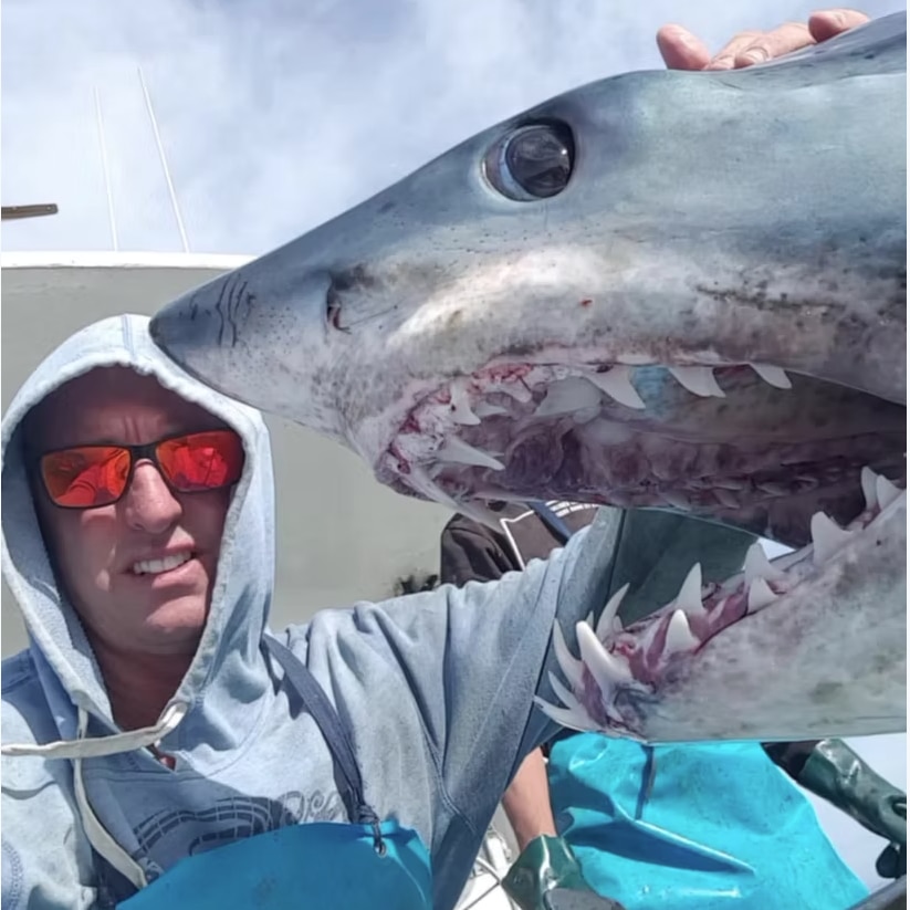 Jason Moyce taking a selfie with a shark.