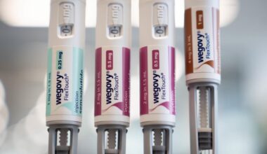 Stronger dose of weight-loss jab approved for launch in UK - The Independent