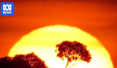 Australian summers to experience more 50C days as heatwaves intensify, experts say