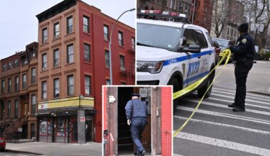 85-year-old woman stabbed to death in NYC home, grandson in custody: sources