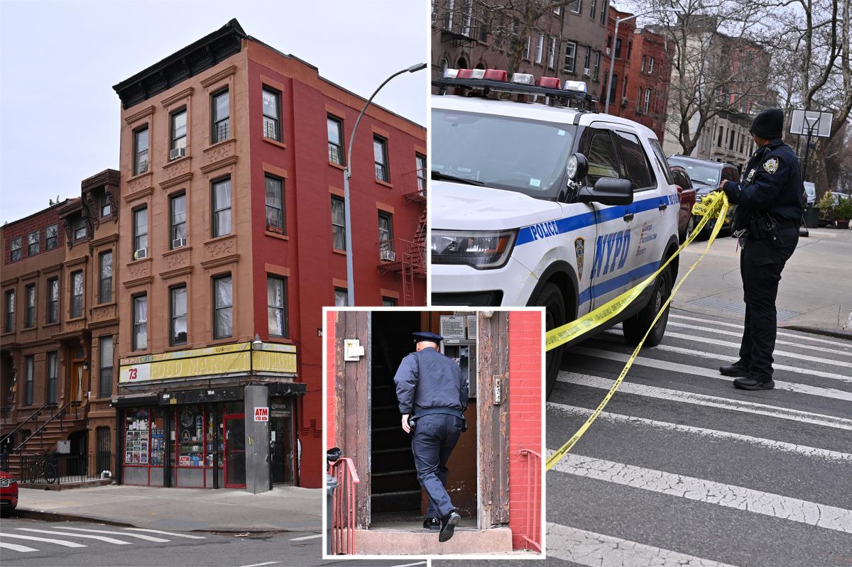 85-year-old woman stabbed to death in NYC home, grandson in custody: sources