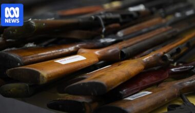 NT government rejects Albanese's national gun buyback scheme over co-funding proposal