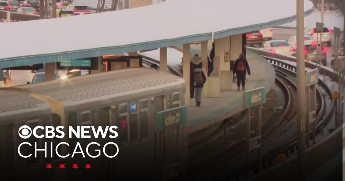 Woman cut during fight on CTA Blue Line train