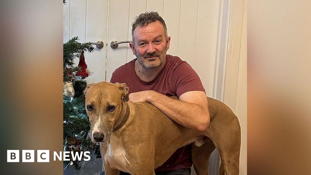 'Gentle giant' rescue dog rehomed after three years in kennels