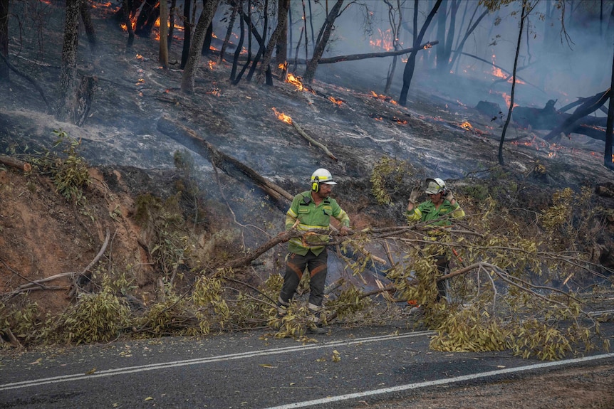 Forest Fire Management crews make the roads safer near Walwa.