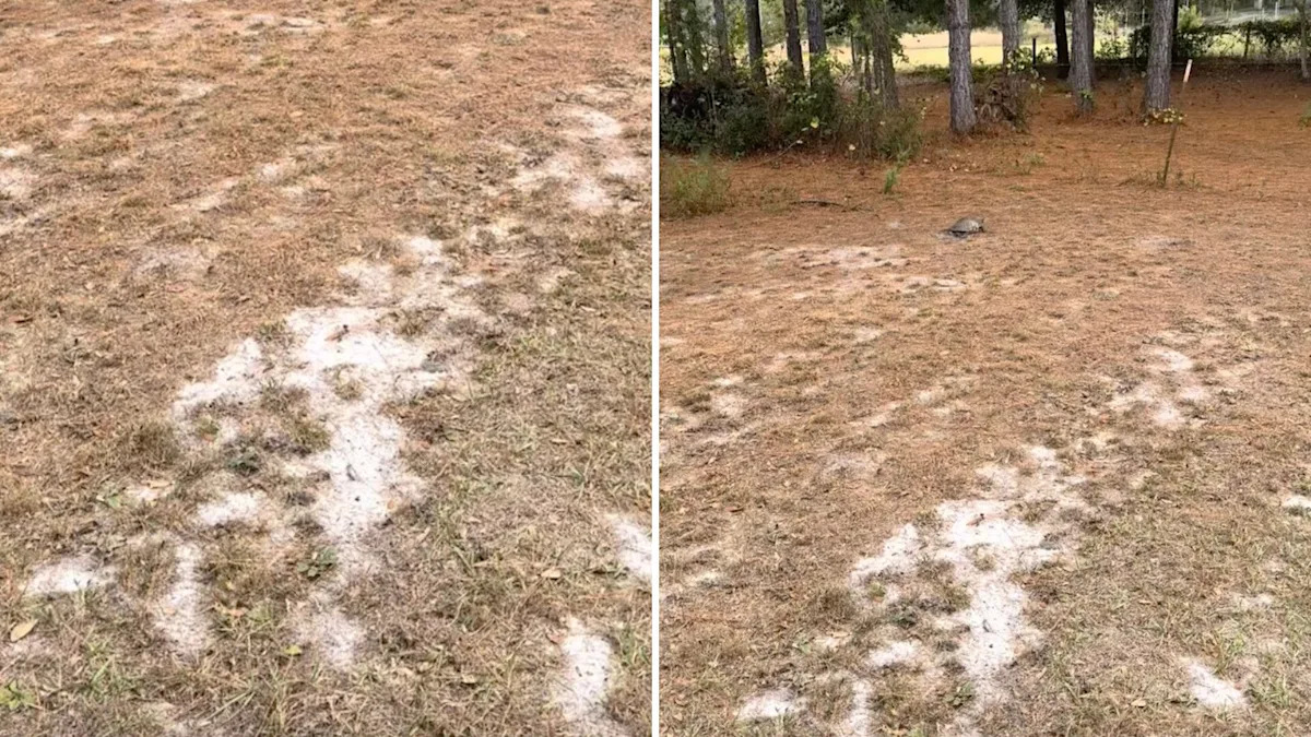 Yahoo lifestyle home