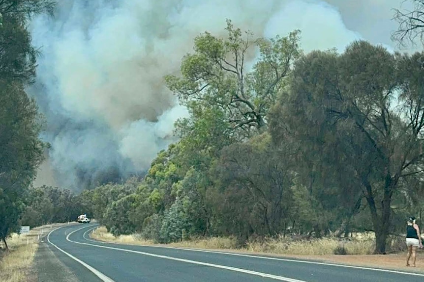 Smoke rises from  the fire burning near Albany Highway.