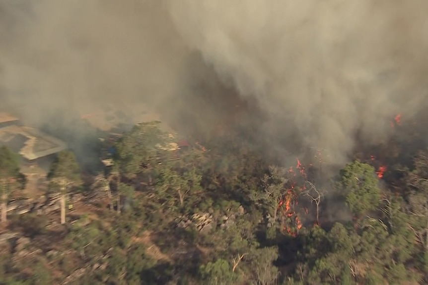 a plume of smoke cause by fire in the bush 