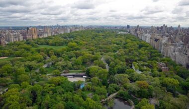 Public-private partnership could be just what Balboa Park needs – San Diego Union-Tribune