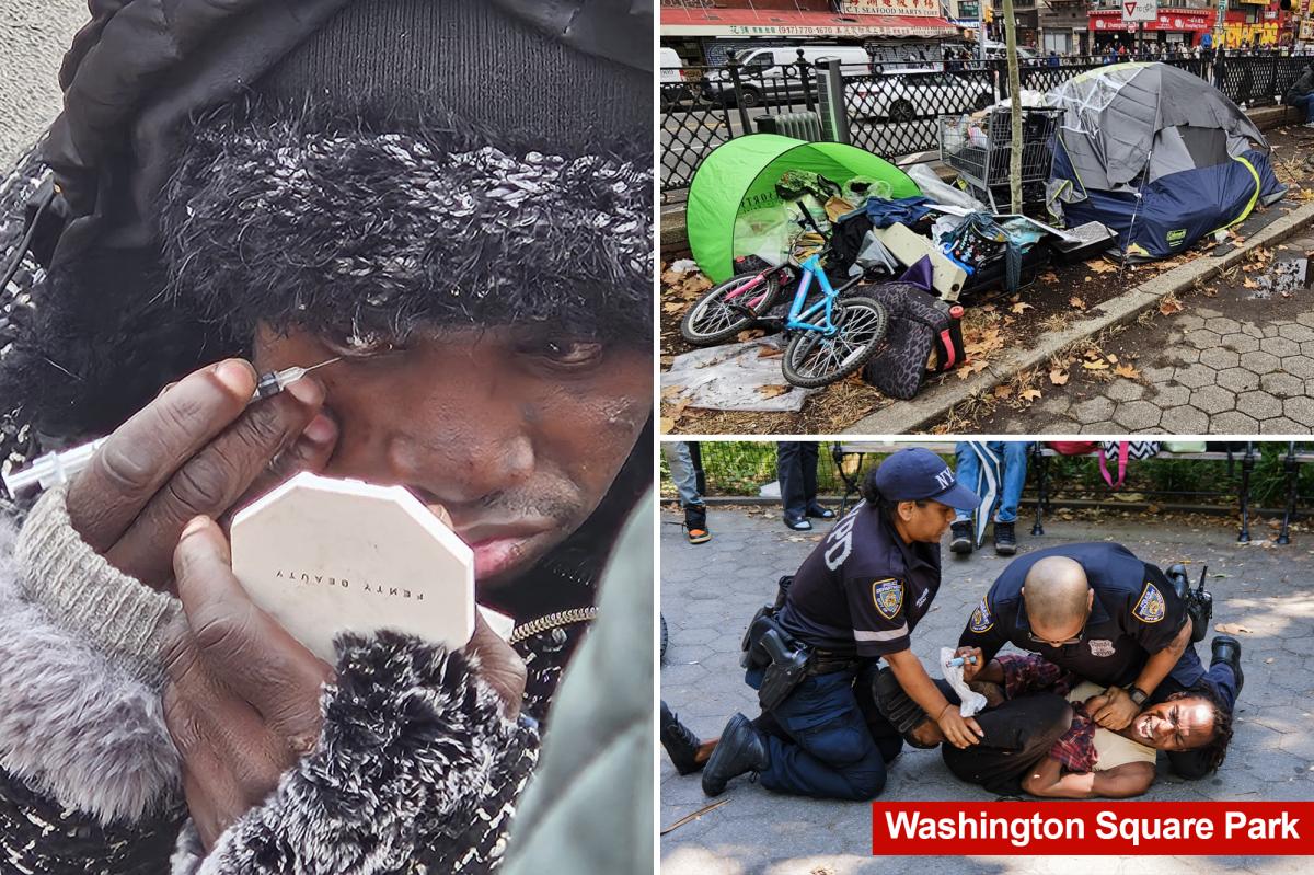Junkies booted from NYC's Washington Square Park didn't go away — they relocated