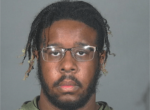 Los Angeles County Investigators Seek Additional Victims in Babysitter Sexual Abuse Case