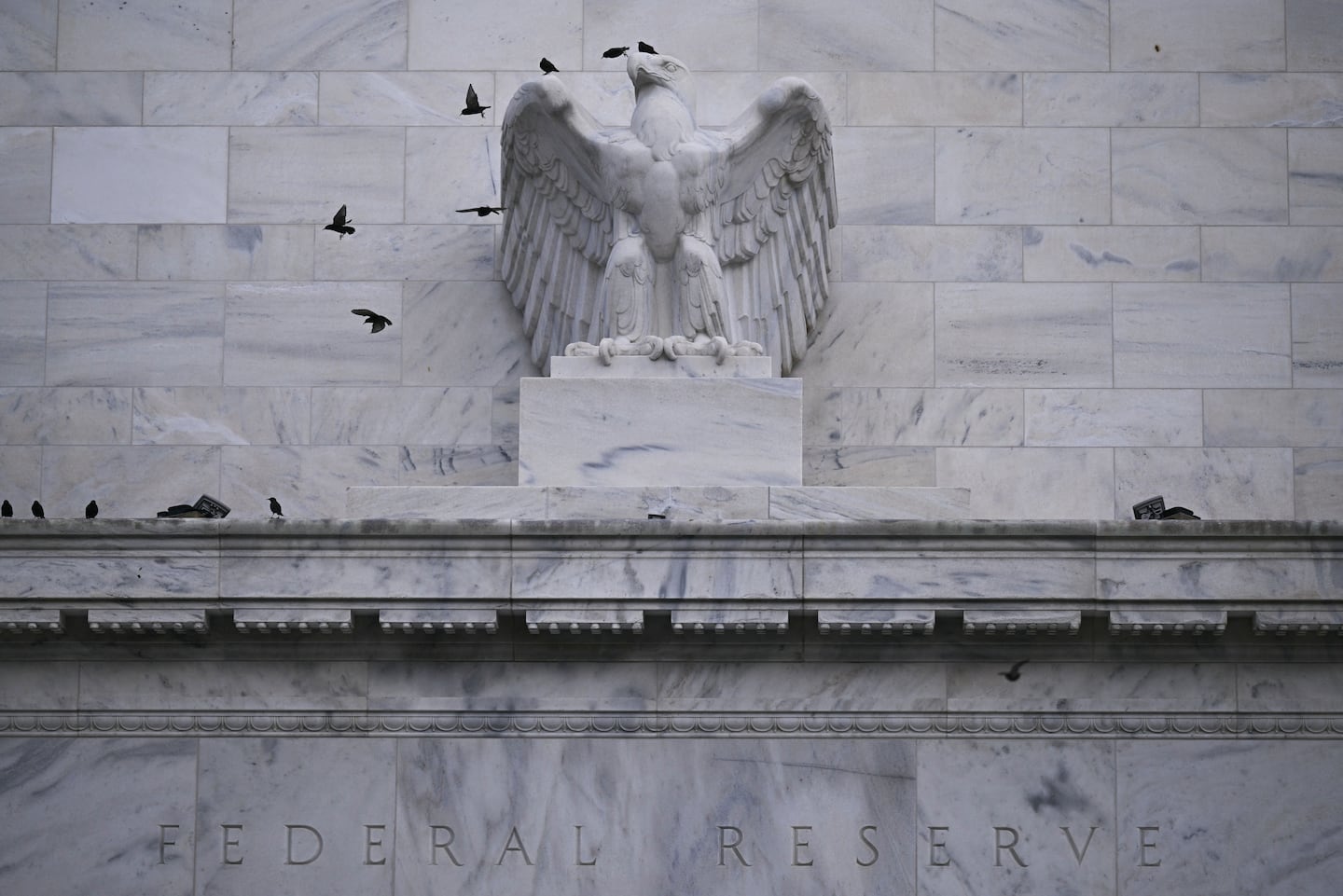 Birds on the outside of the Marriner S. Eccles Federal Reserve building in Washington, D.C.