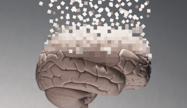 10,000 Brain Scans Reveal Why Your Memory Gets Worse With Age : ScienceAlert