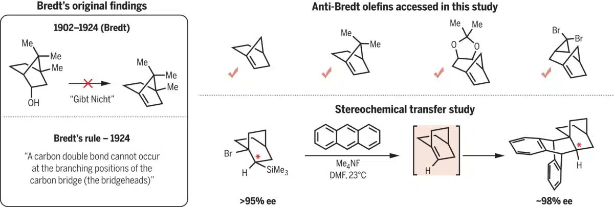 Bredt’s Rule (1924) And Anti Bredt Olefins Generated In This Study