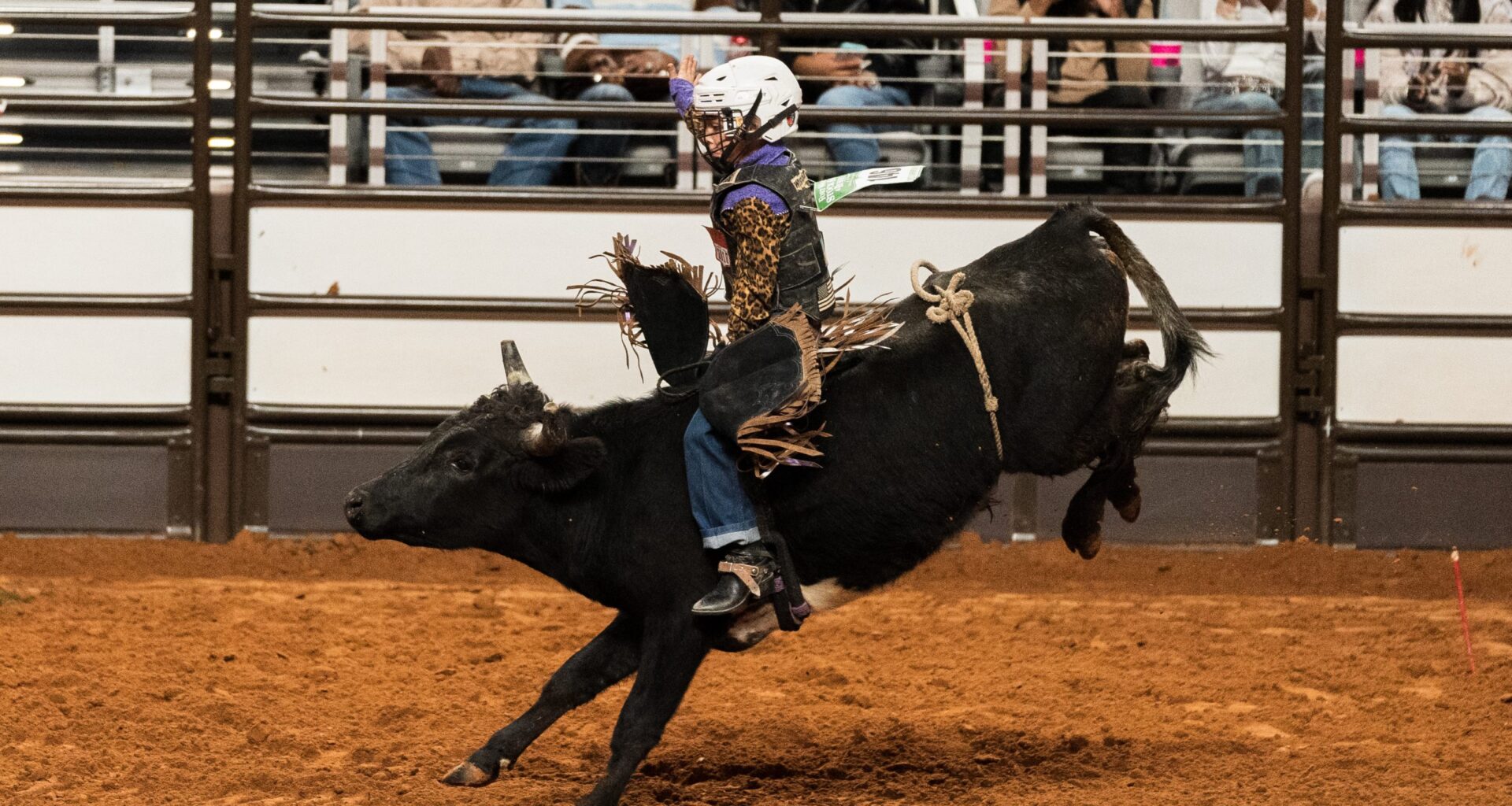 Dust off boots for 2026 return of Fort Worth Stock Show & Rodeo. Here’s what to check out