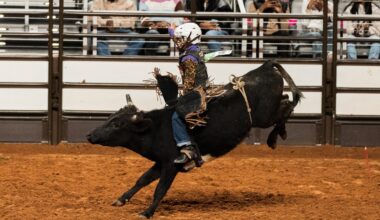 Dust off boots for 2026 return of Fort Worth Stock Show & Rodeo. Here’s what to check out