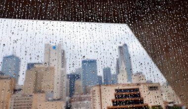 Prominent Dallas architects say City Hall is sound, efficient and worth saving