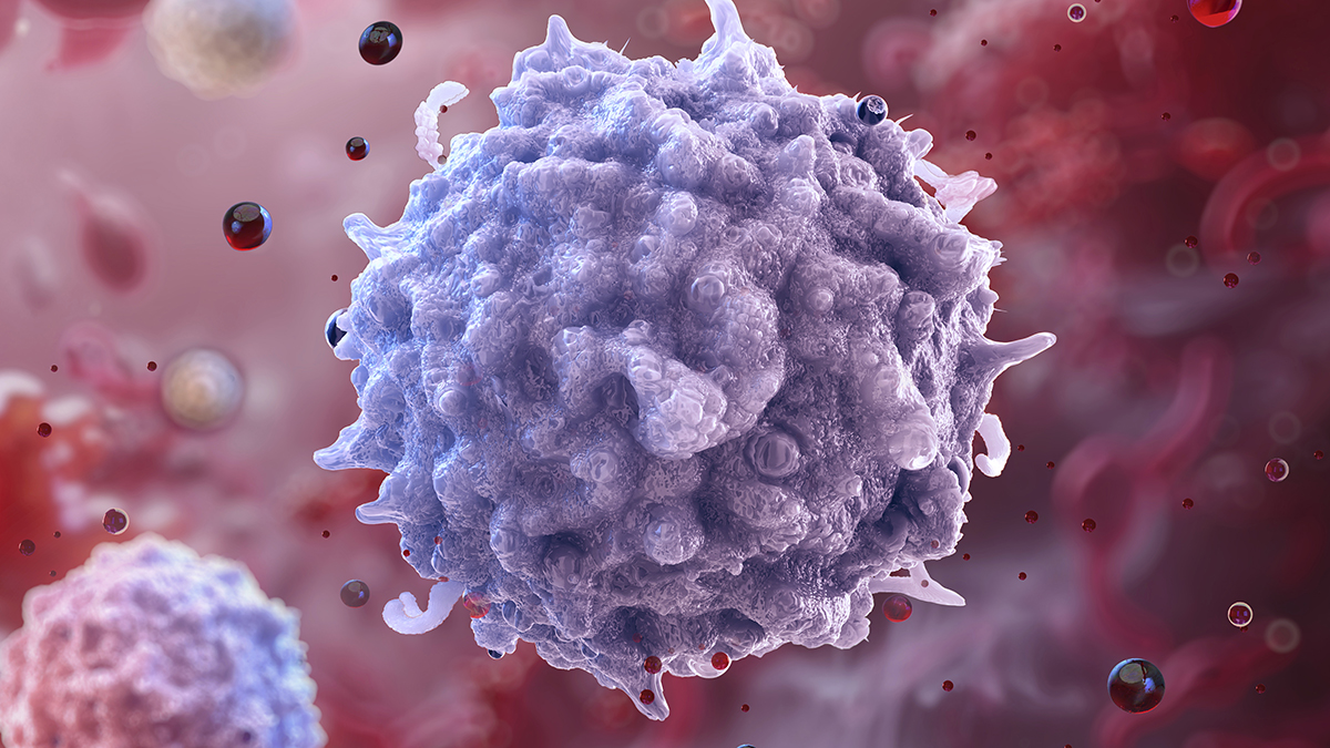 Scientists May Have Discovered a Way to Rejuvenate The Immune System : ScienceAlert