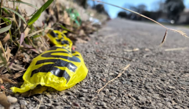 Boy, 9, shot on front porch of East Side home, SAPD says