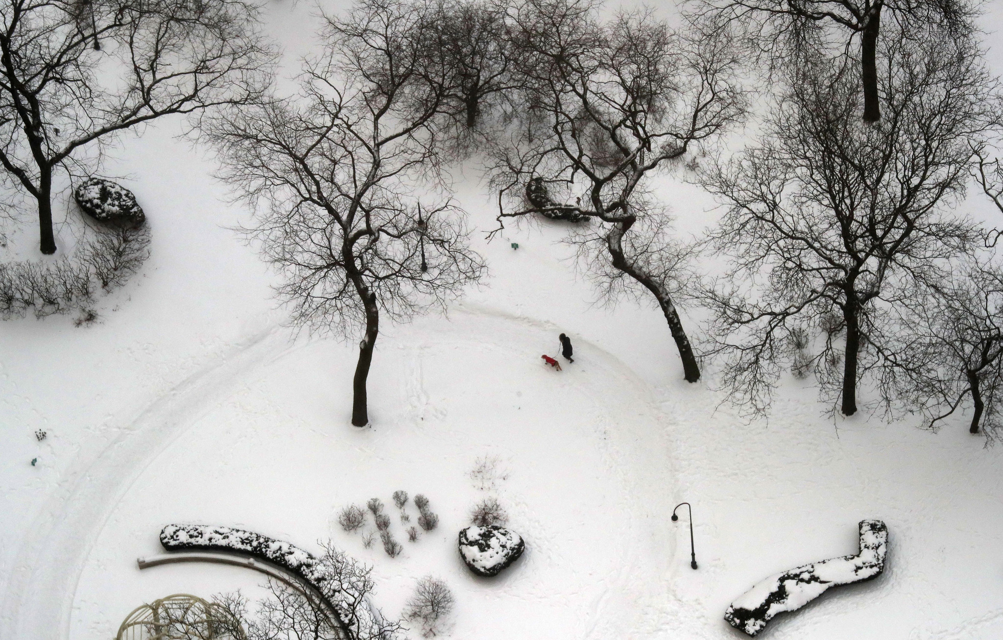 A woman walks a dog in circles at a park...