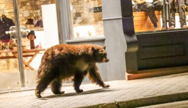 PHOTOS: A photographer’s favorite pictures from a memorable 2025 - AspenTimes.com