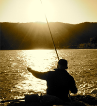 Obituary for Walter C. Houston