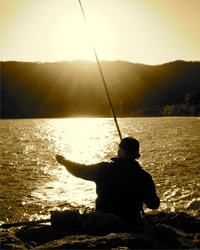 Obituary for Walter C. Houston