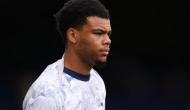 Dane Scarlett: Tottenham confirm January striker exit as loan deal confirmed - London Evening Standard