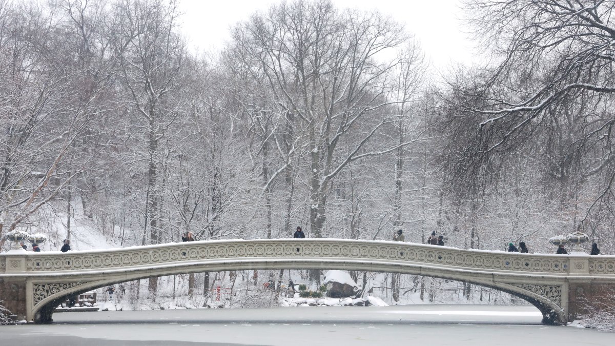 Top 10 biggest snowstorms in Central Park – NBC New York